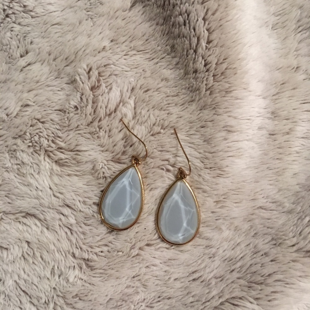Francesca’s Blue/Periwinkle Teardrop Earrings